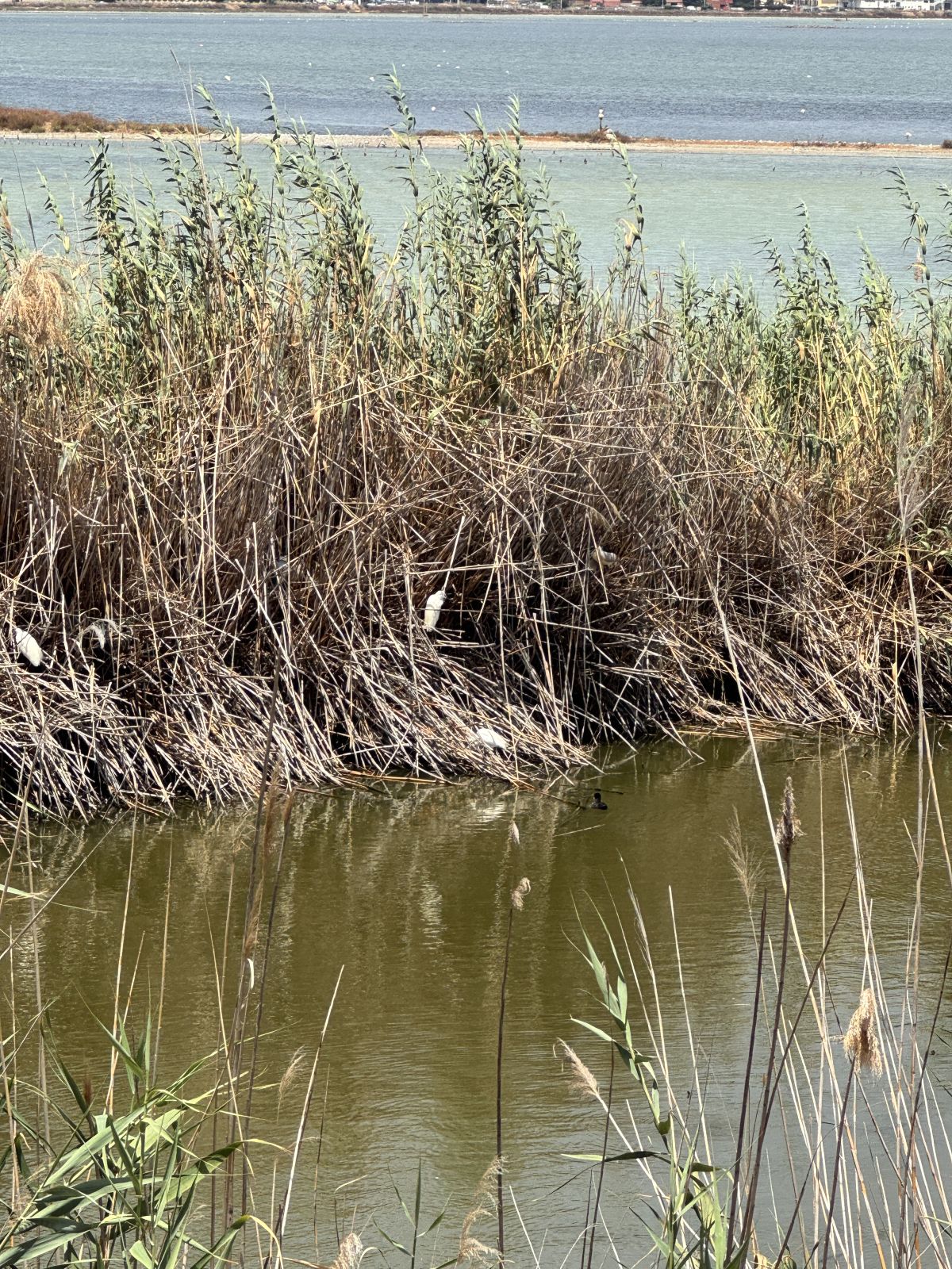 Kawałek niesamowitego świata.