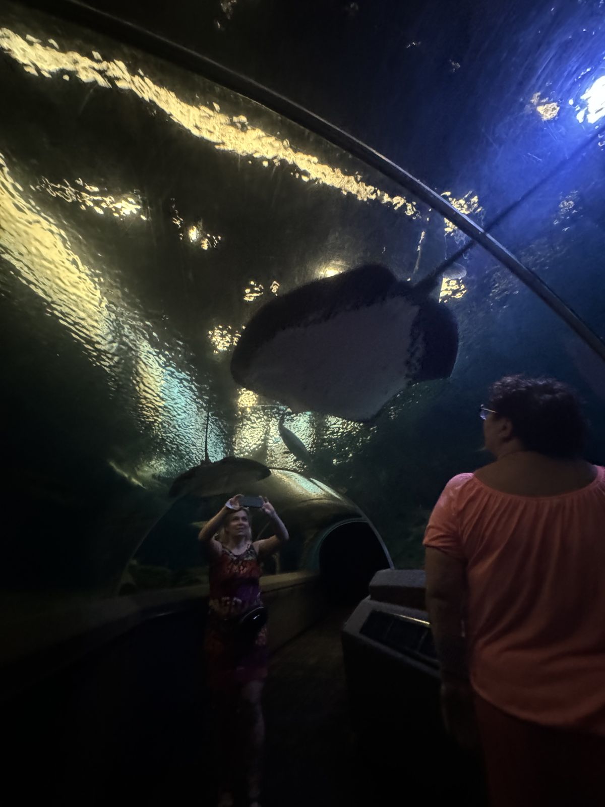 Underwater World Pattaya: Zejście na dno