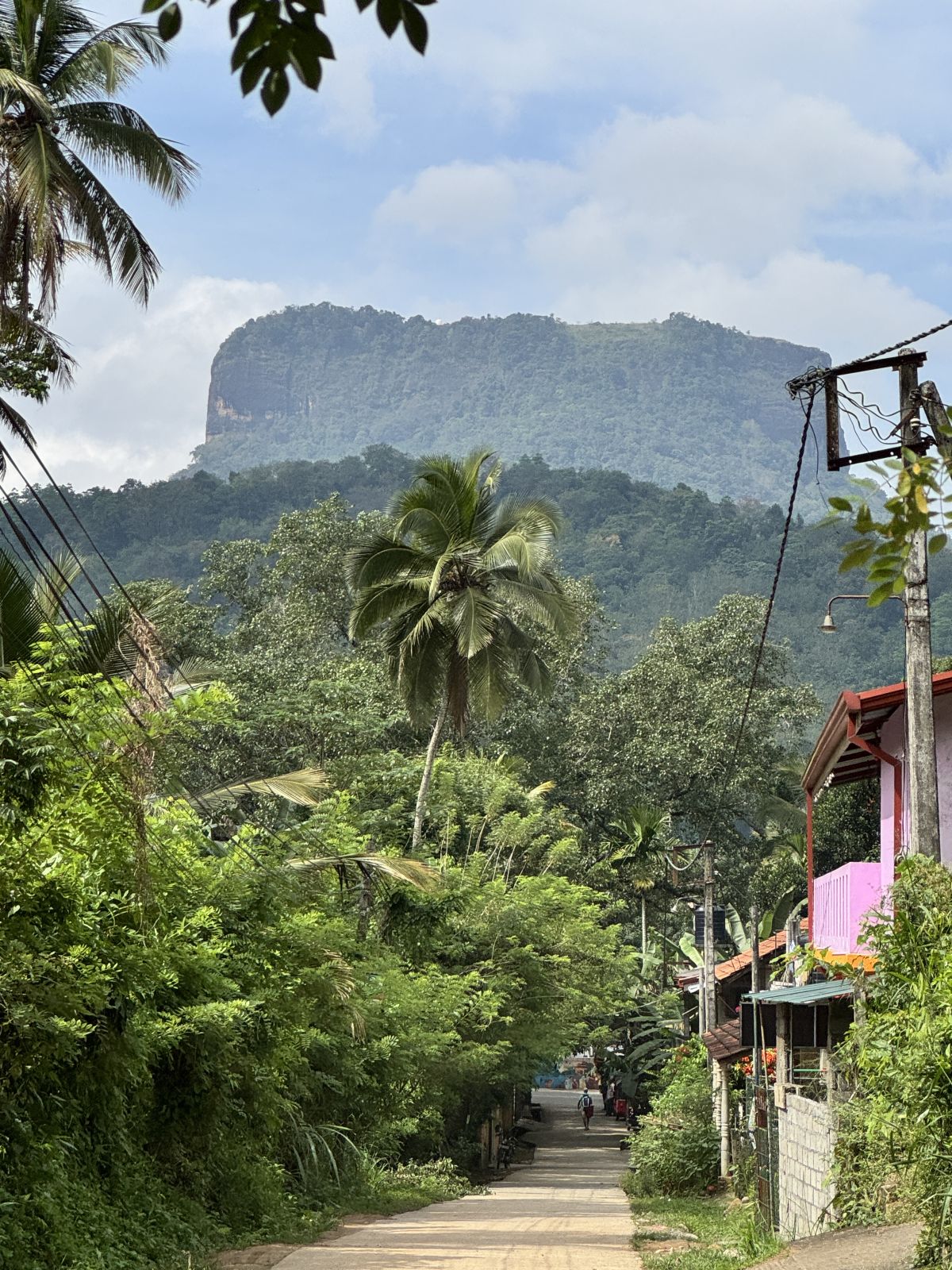 Szlakiem od Colombo do Kandy