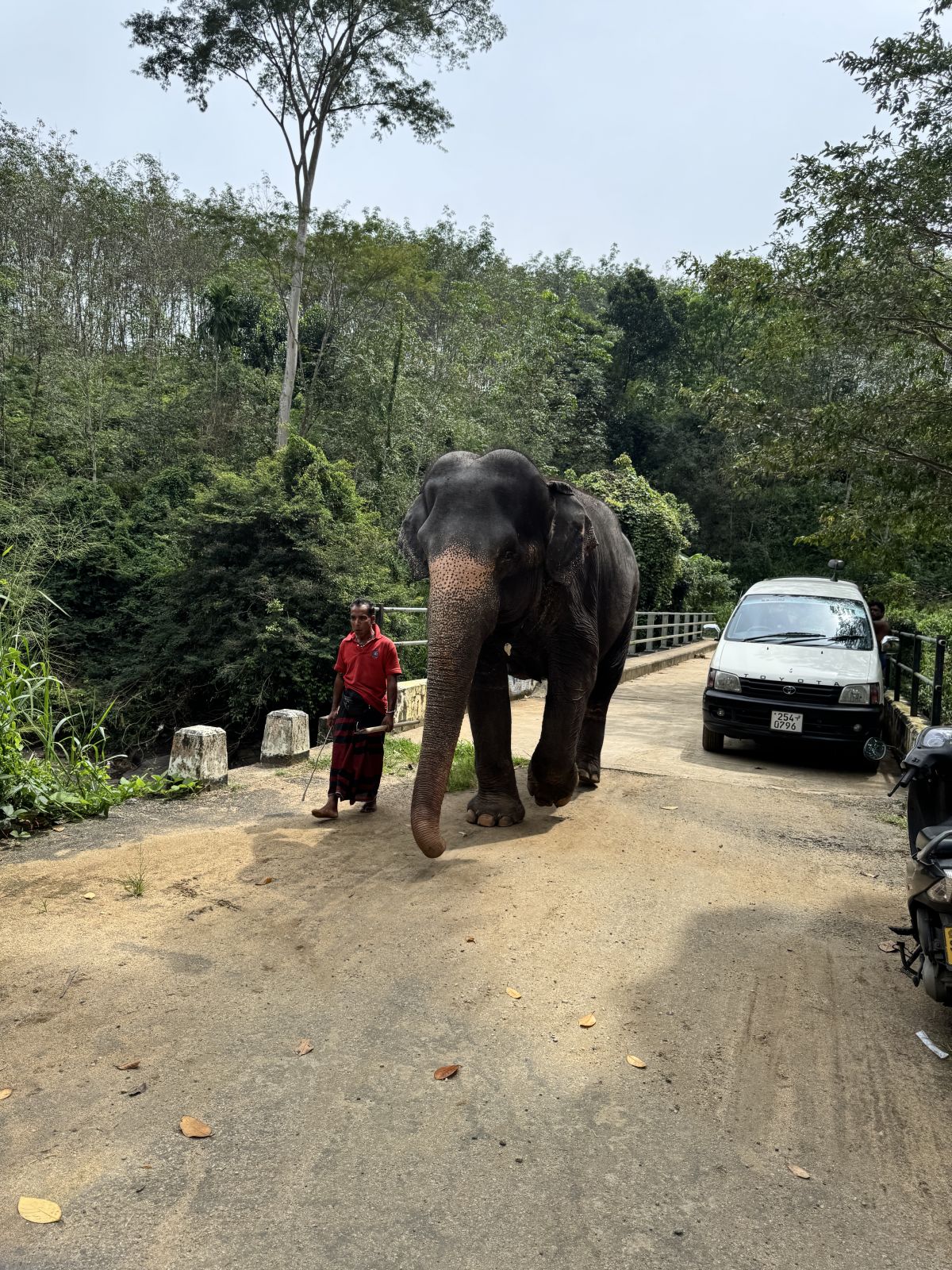 Szlakiem od Colombo do Kandy