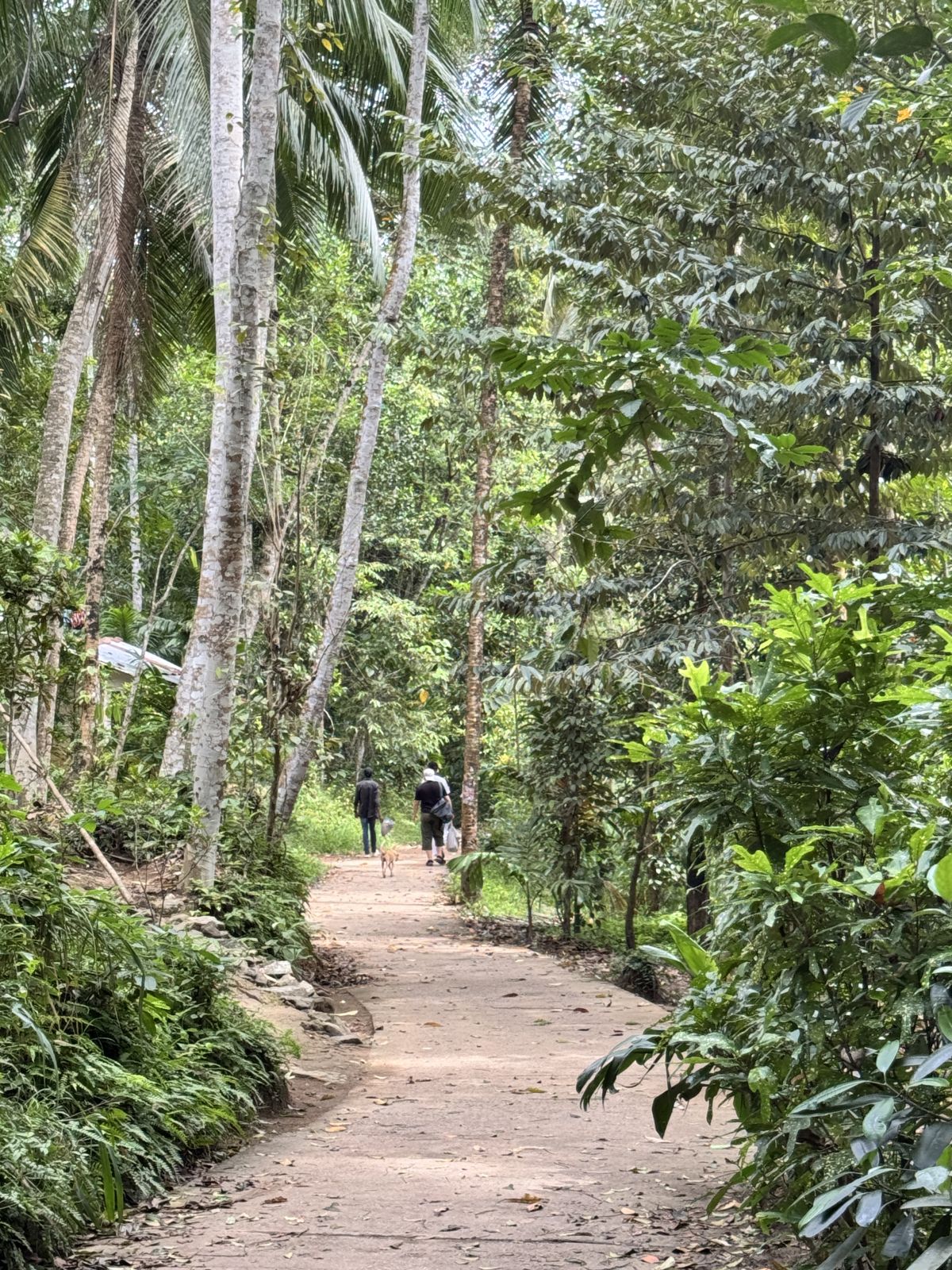 Szlakiem od Colombo do Kandy