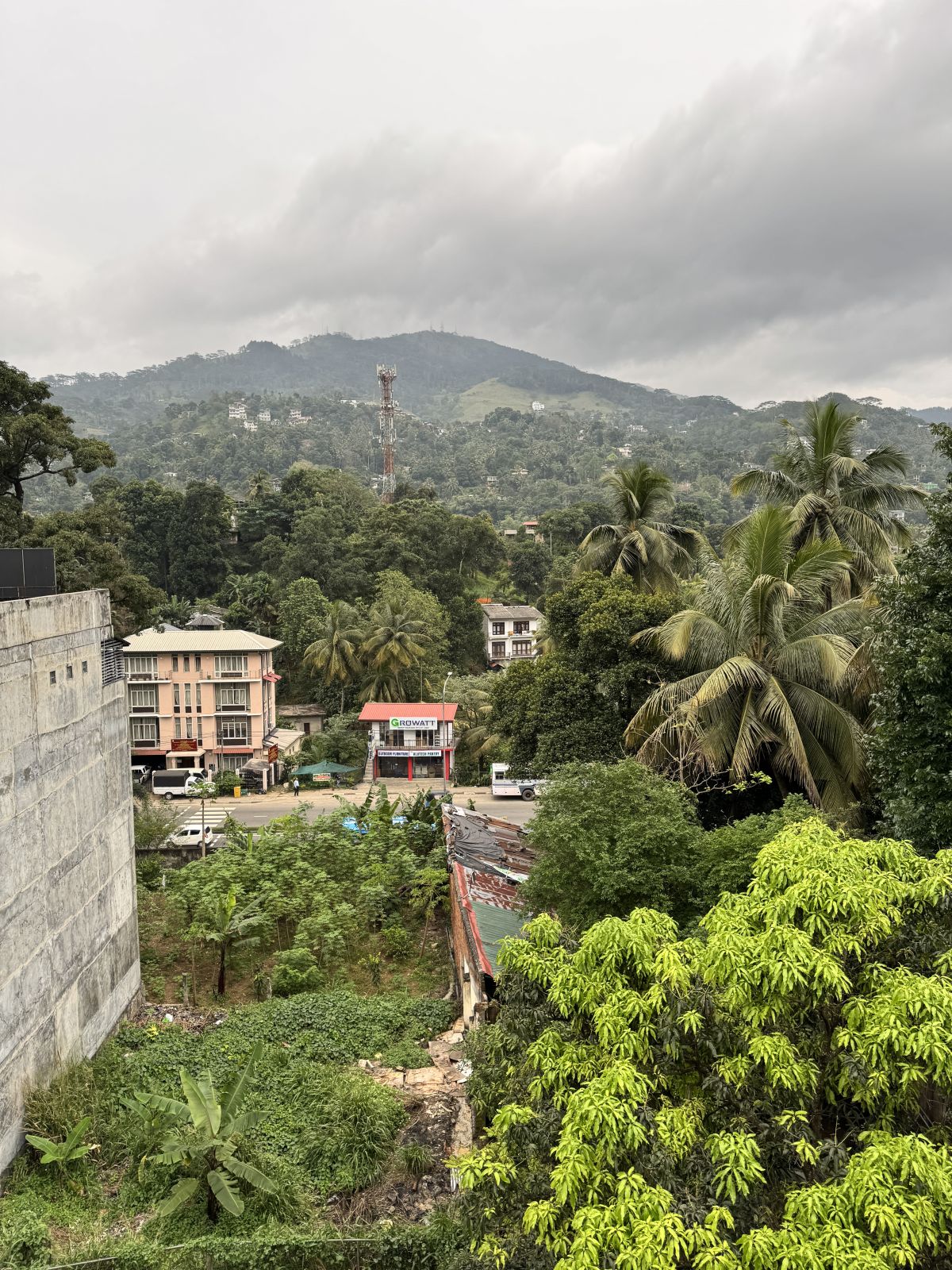 Szlakiem od Colombo do Kandy